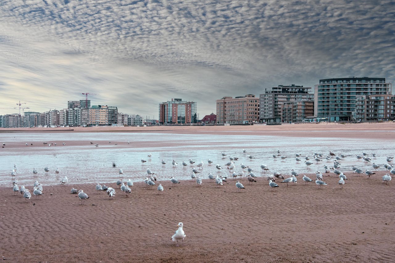 oostende